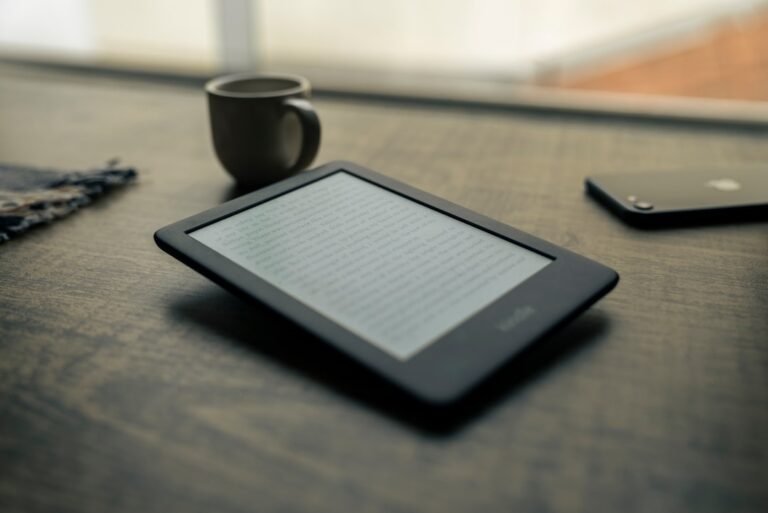 EPUB ou PDF pour lire un ebook sur téléphone, tablette ou liseuse