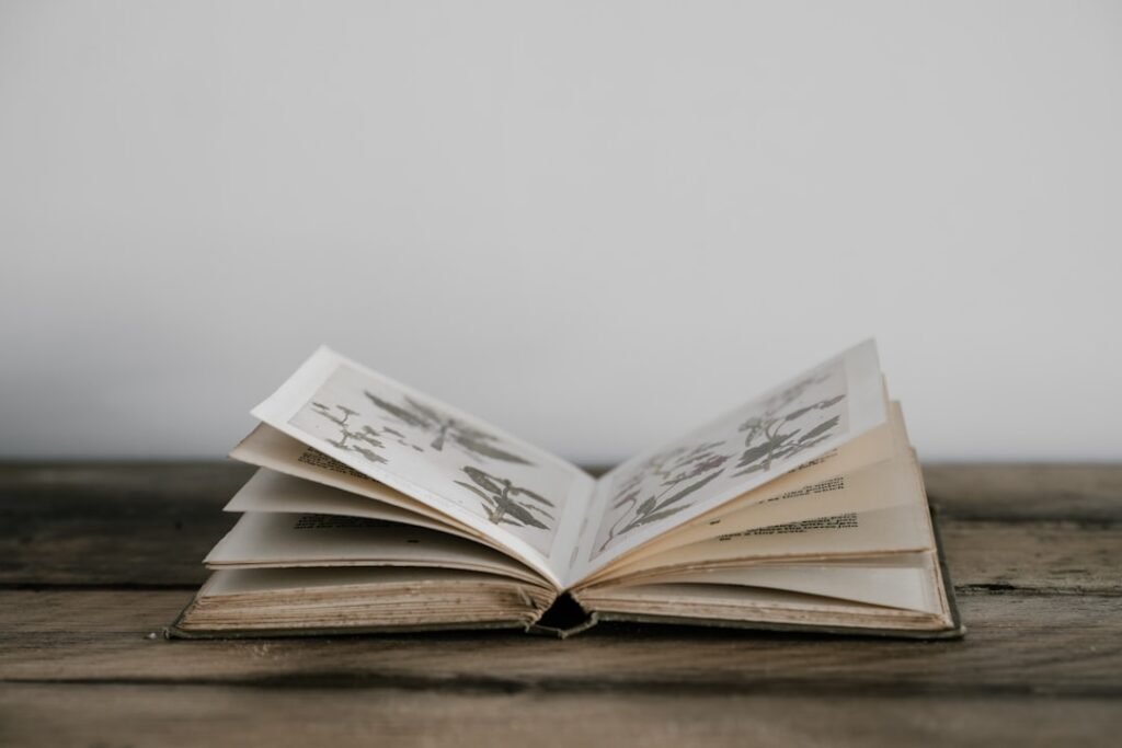 Livre ouvert pour illustrer la sélection du Prix Femina 2026
