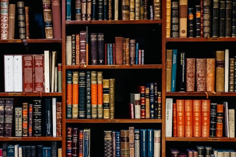 Livres en bibliothèque pour illustrer le Prix Renaudot 2026